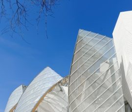 DSC_0339_DxO